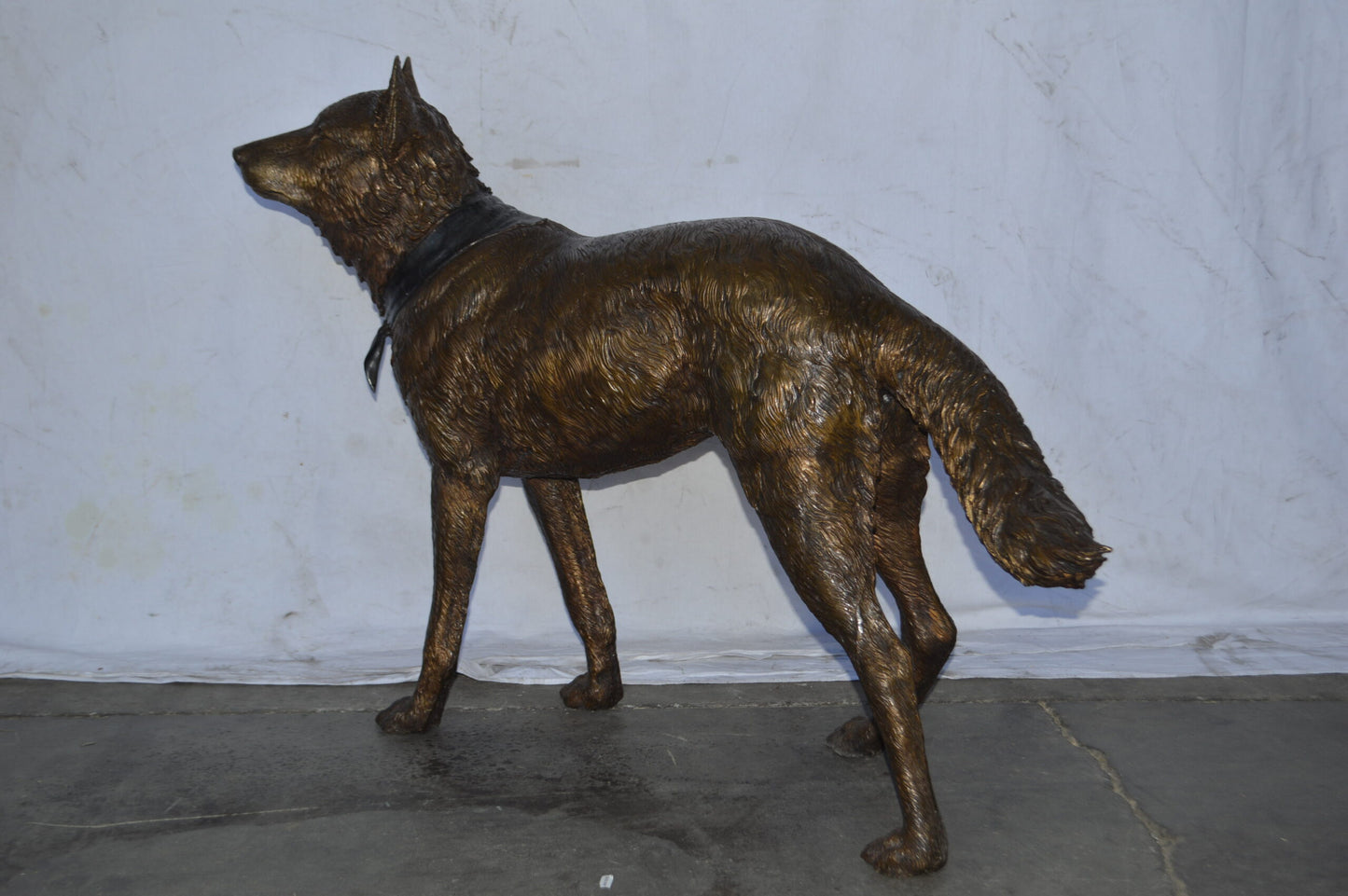 Wolf Standing Life Size Bronze Statue - Size: 45"L x 15"W x 33"H.