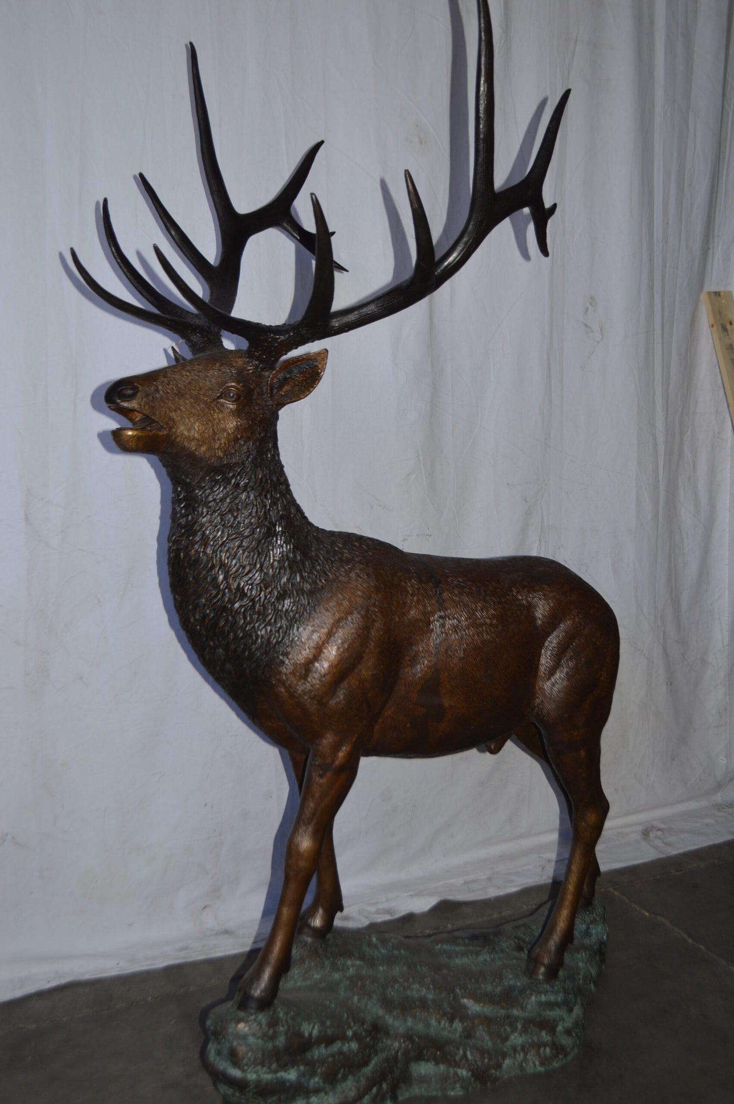 Standing Elk, life size bronze statue - Size: 42"L x 31"W x 77"H.