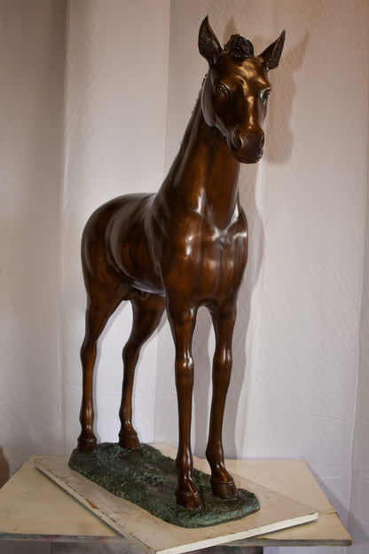 Standing Pony Made of Bronze Statue 47" x 12" x 48"H