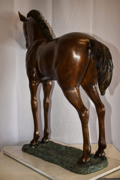 Standing Pony Made of Bronze Statue 47" x 12" x 48"H