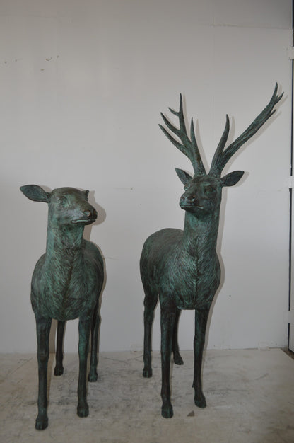 Pair of life size deer bronze statue with Green Patina - Size: 17" x 44" x 52"H.