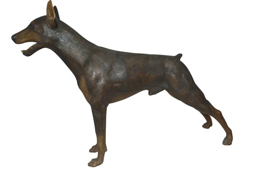 Doberman - Large Bronze Statue -  Size: 14"L x 52"W x 38"H. 