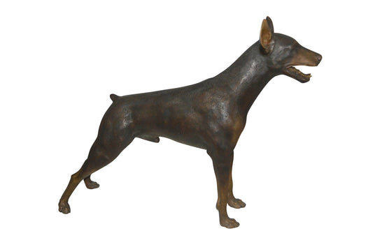 Doberman - Large Bronze Statue -  Size: 14"L x 52"W x 38"H. 