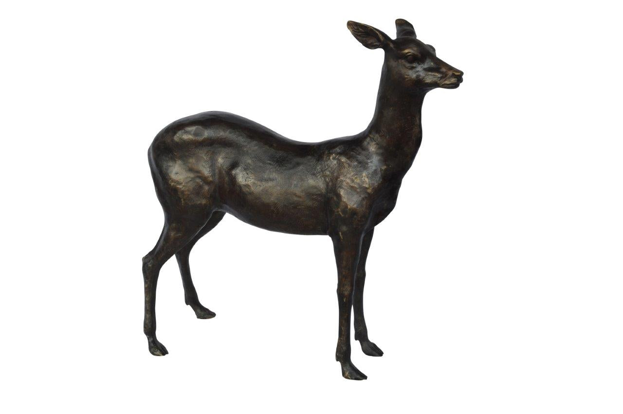 Doe - baby deer bronze statue -  Size: 30"L x 8"W x 30"H.