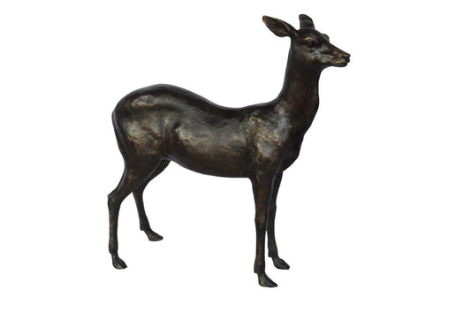 Doe - baby deer bronze statue -  Size: 30"L x 8"W x 30"H.