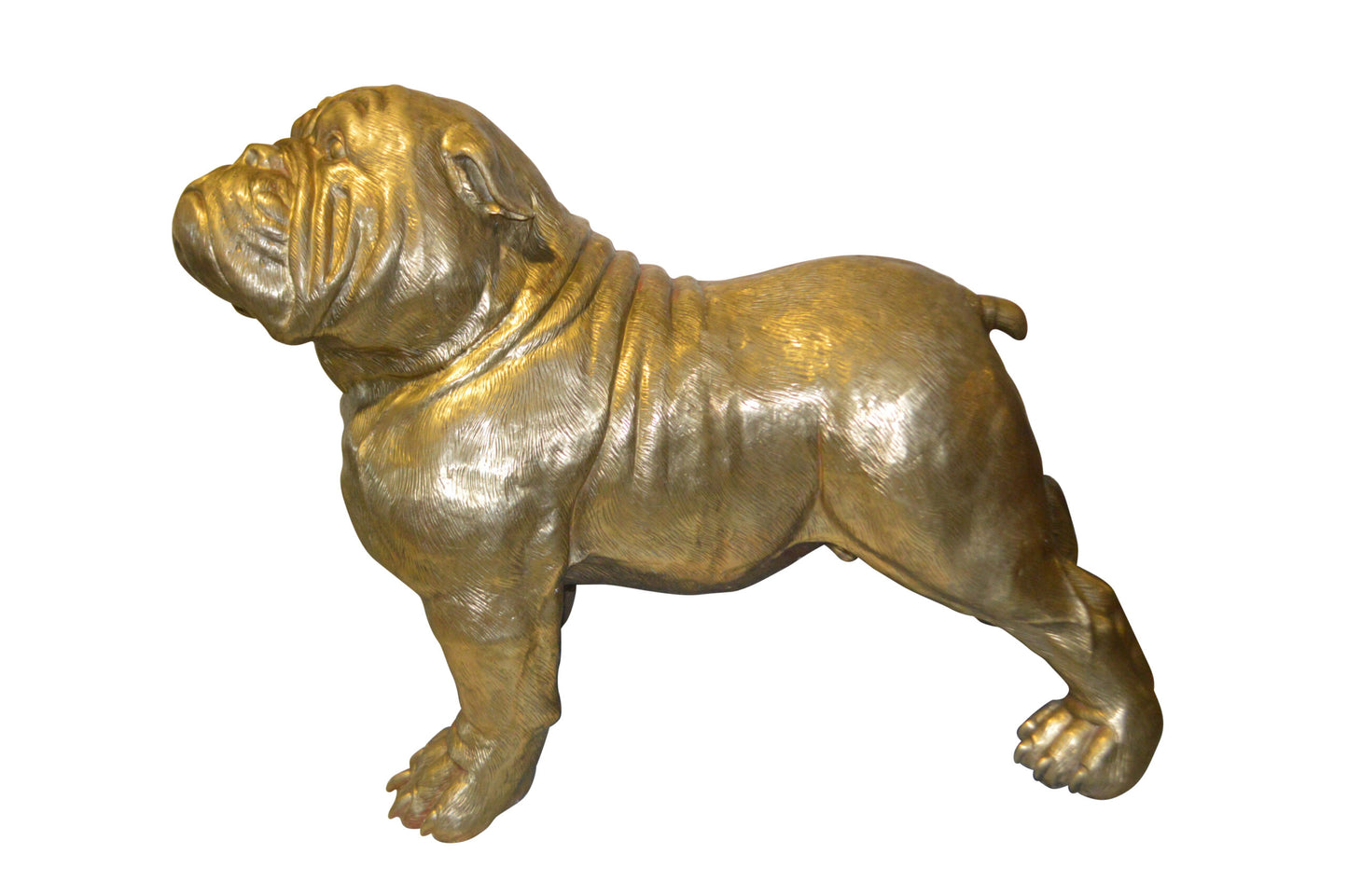 Gold Bulldog Giant Bronze Statue -  Size: 62"L x 26"W x 44"H.