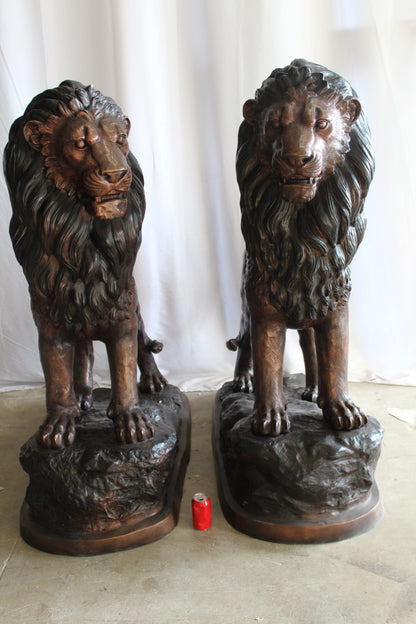 Lifesized Pair of Lions Bronze Statues 58" x 30" x 62"H