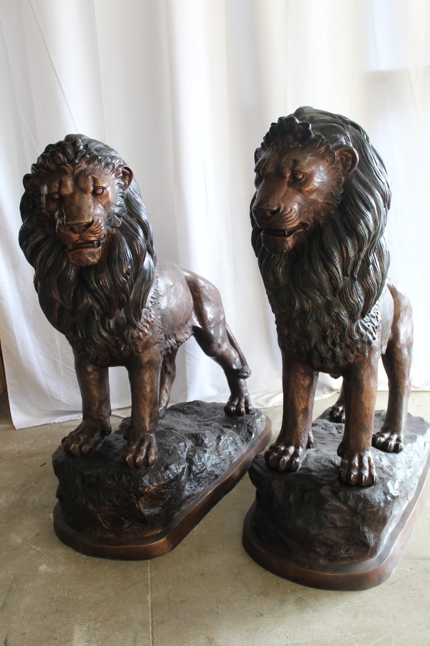 Lifesized Pair of Lions Bronze Statues 58" x 30" x 62"H