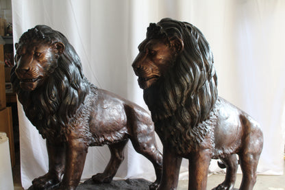 Lifesized Pair of Lions Bronze Statues 58" x 30" x 62"H
