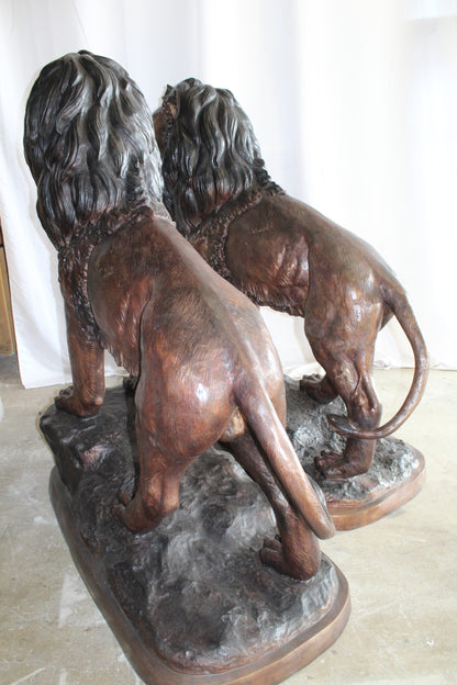 Lifesized Pair of Lions Bronze Statues 58" x 30" x 62"H
