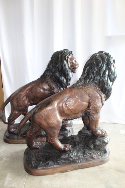 Lifesized Pair of Lions Bronze Statues 58" x 30" x 62"H