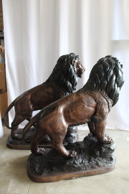 Lifesized Pair of Lions Bronze Statues 58" x 30" x 62"H