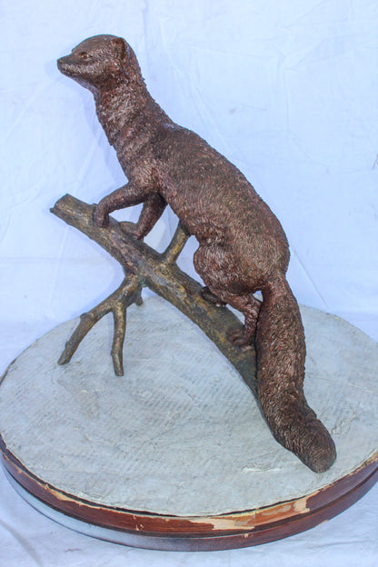 Bronze Statue of a Mongoose Climbing a Tree Branch 24" x 12" x 20"H