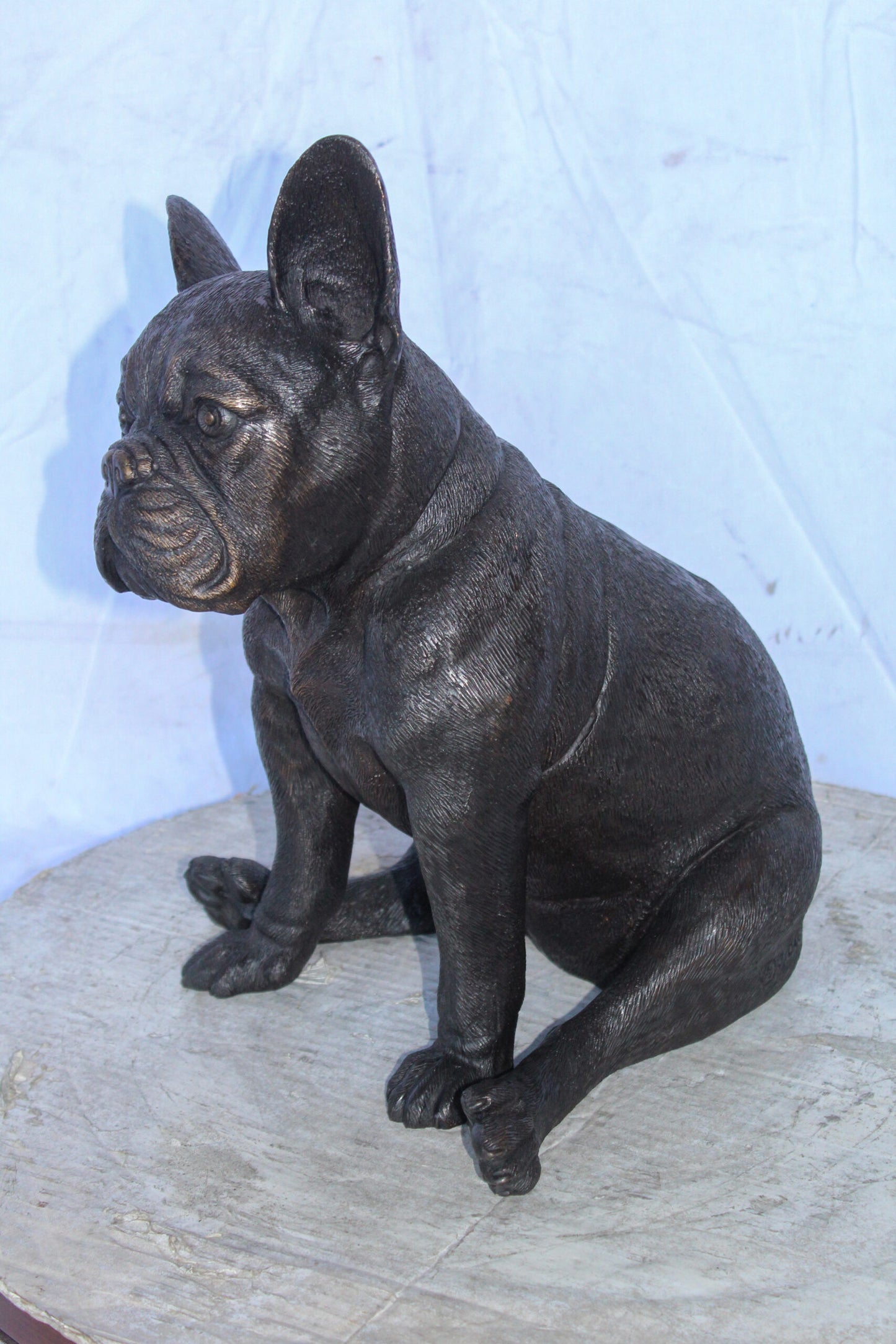 Bronze Statue of French Bulldog Sitting, Elegant Canine Decor 12" x 12" x 17"H