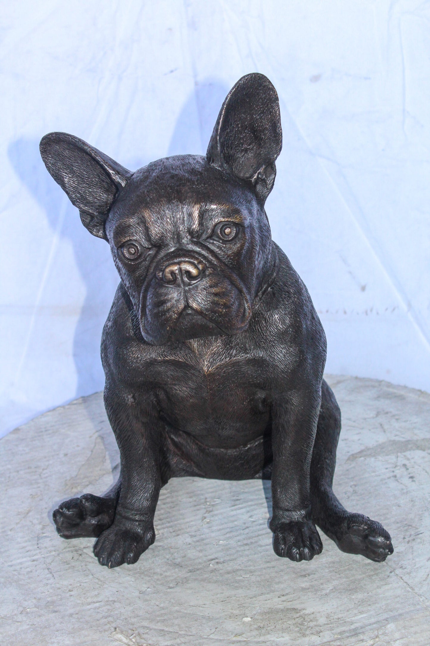 Bronze Statue of French Bulldog Sitting, Elegant Canine Decor 12" x 12" x 17"H