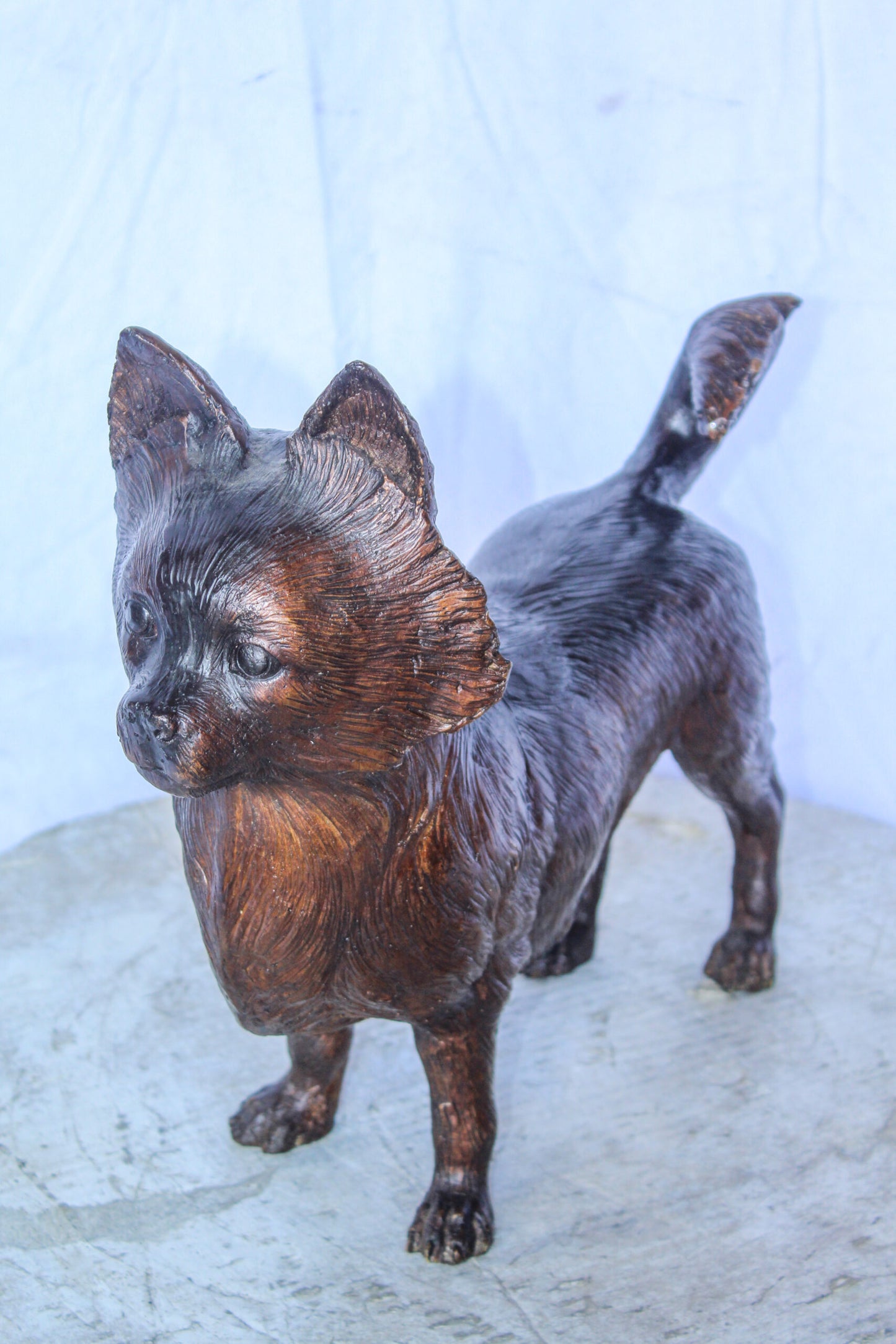 Pomeranian Dog Bronze Statue in a Graceful Standing Pose 18" x 6" x 14"H