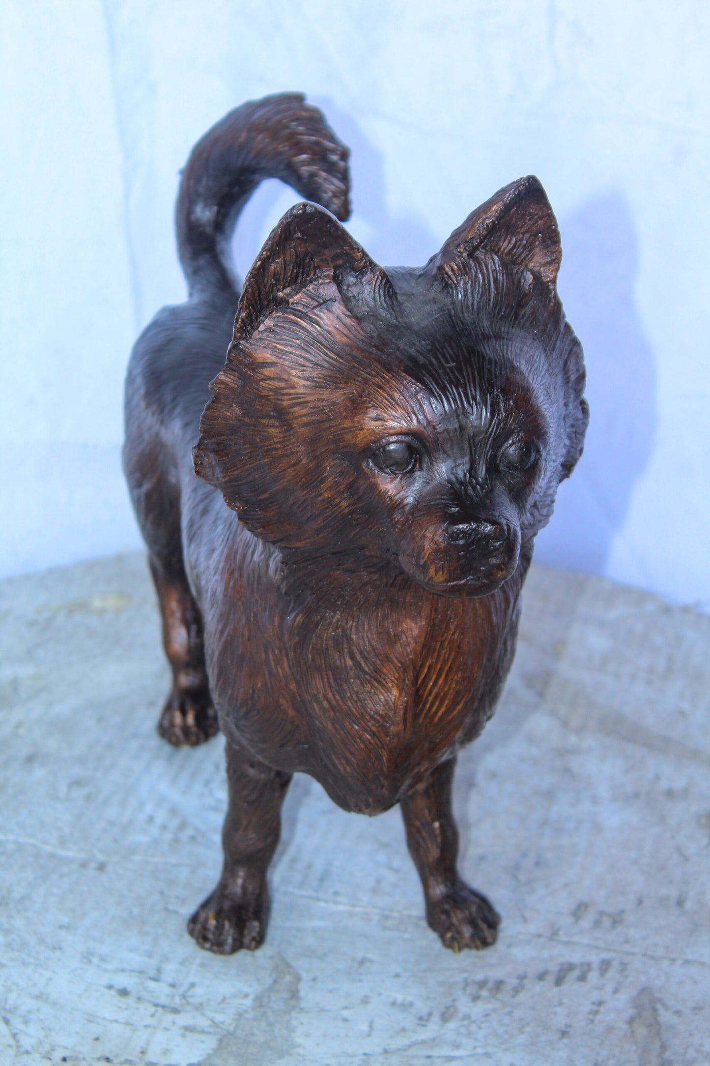 Pomeranian Dog Bronze Statue in a Graceful Standing Pose 18" x 6" x 14"H