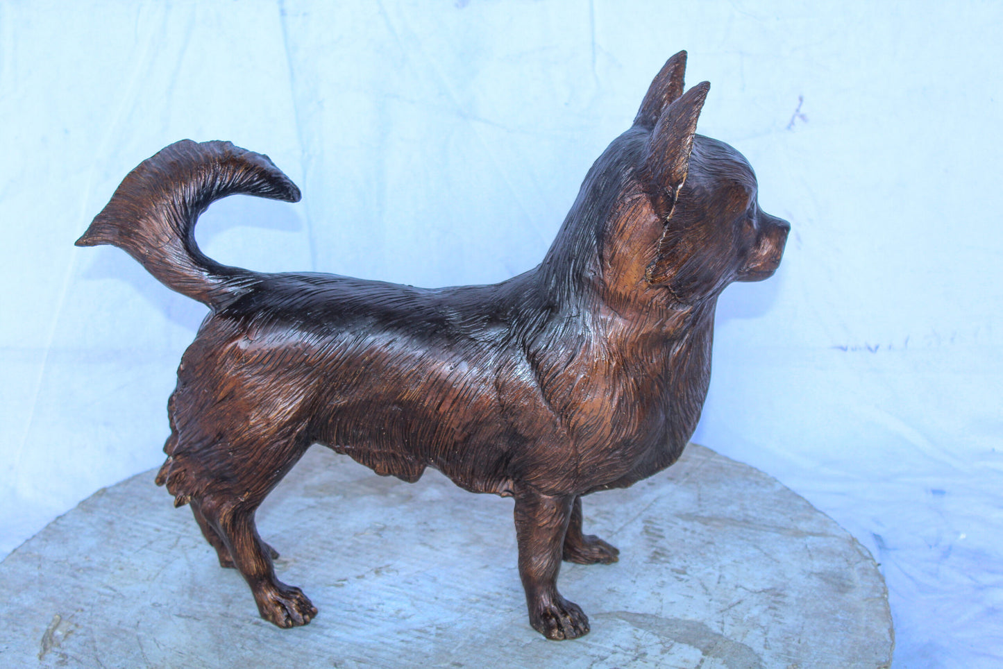 Pomeranian Dog Bronze Statue in a Graceful Standing Pose 18" x 6" x 14"H