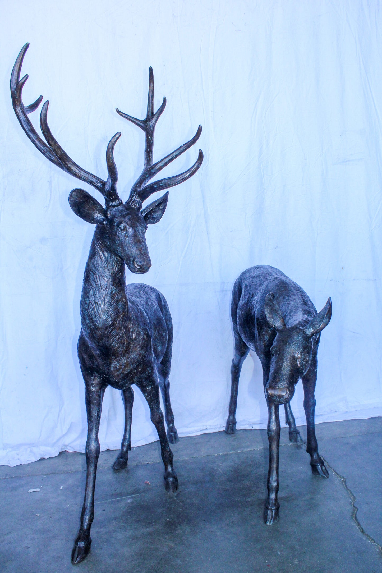 Life Size Bronze Statues of a Pair of Deer, Wildlife Display 58" x 18" x 58"H