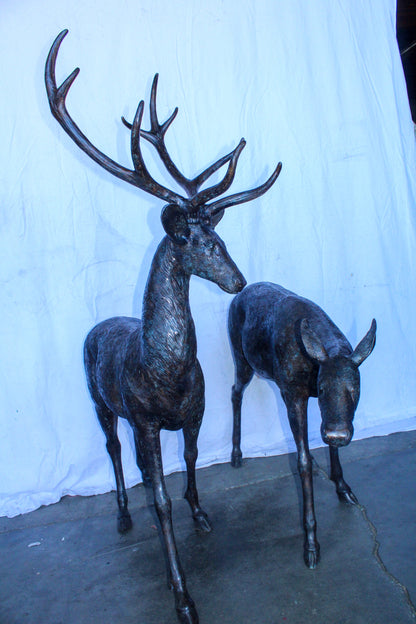 Life Size Bronze Statues of a Pair of Deer, Wildlife Display 58" x 18" x 58"H