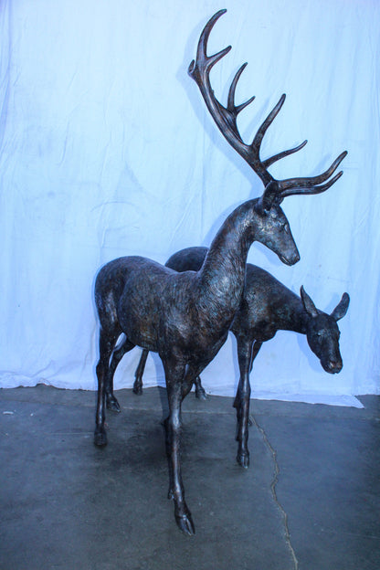 Life Size Bronze Statues of a Pair of Deer, Wildlife Display 58" x 18" x 58"H