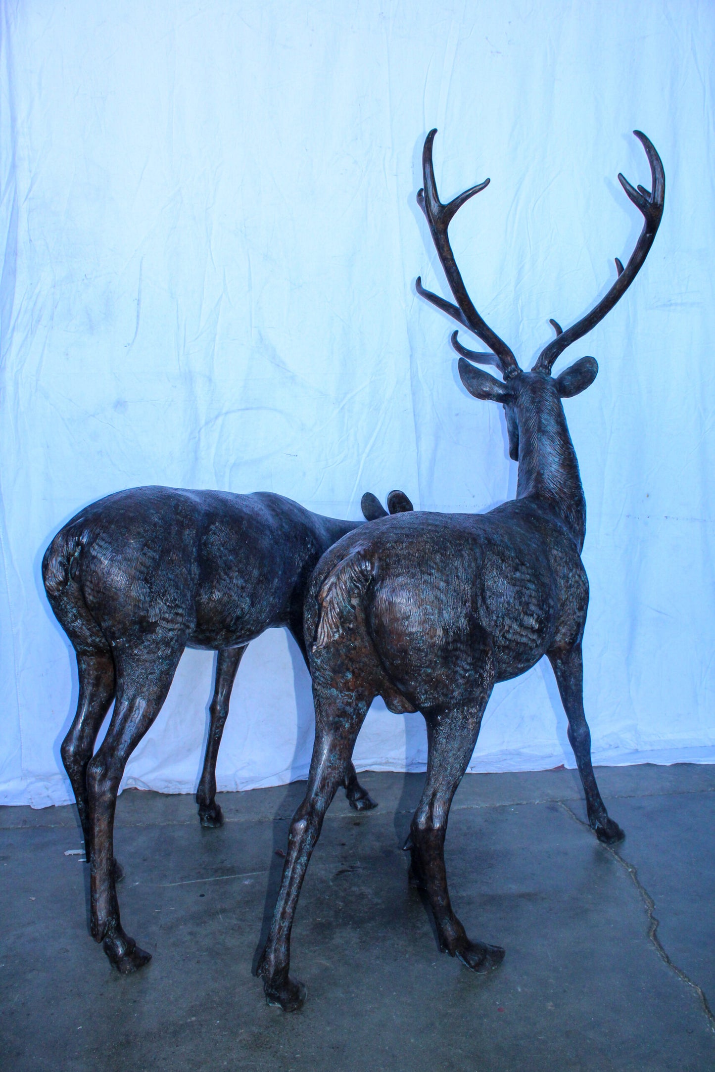 Life Size Bronze Statues of a Pair of Deer, Wildlife Display 58" x 18" x 58"H