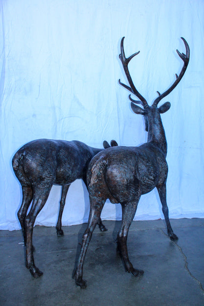 Life Size Bronze Statues of a Pair of Deer, Wildlife Display 58" x 18" x 58"H