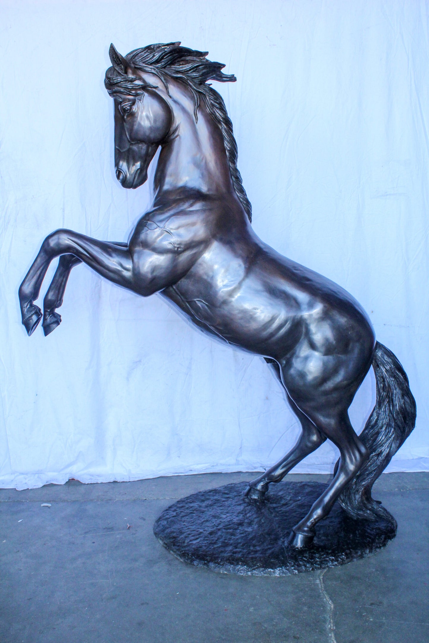 Quarter Horse Rearing, Life Size Bronze Statue, Equestrian Art 72" x 34" x 83"H