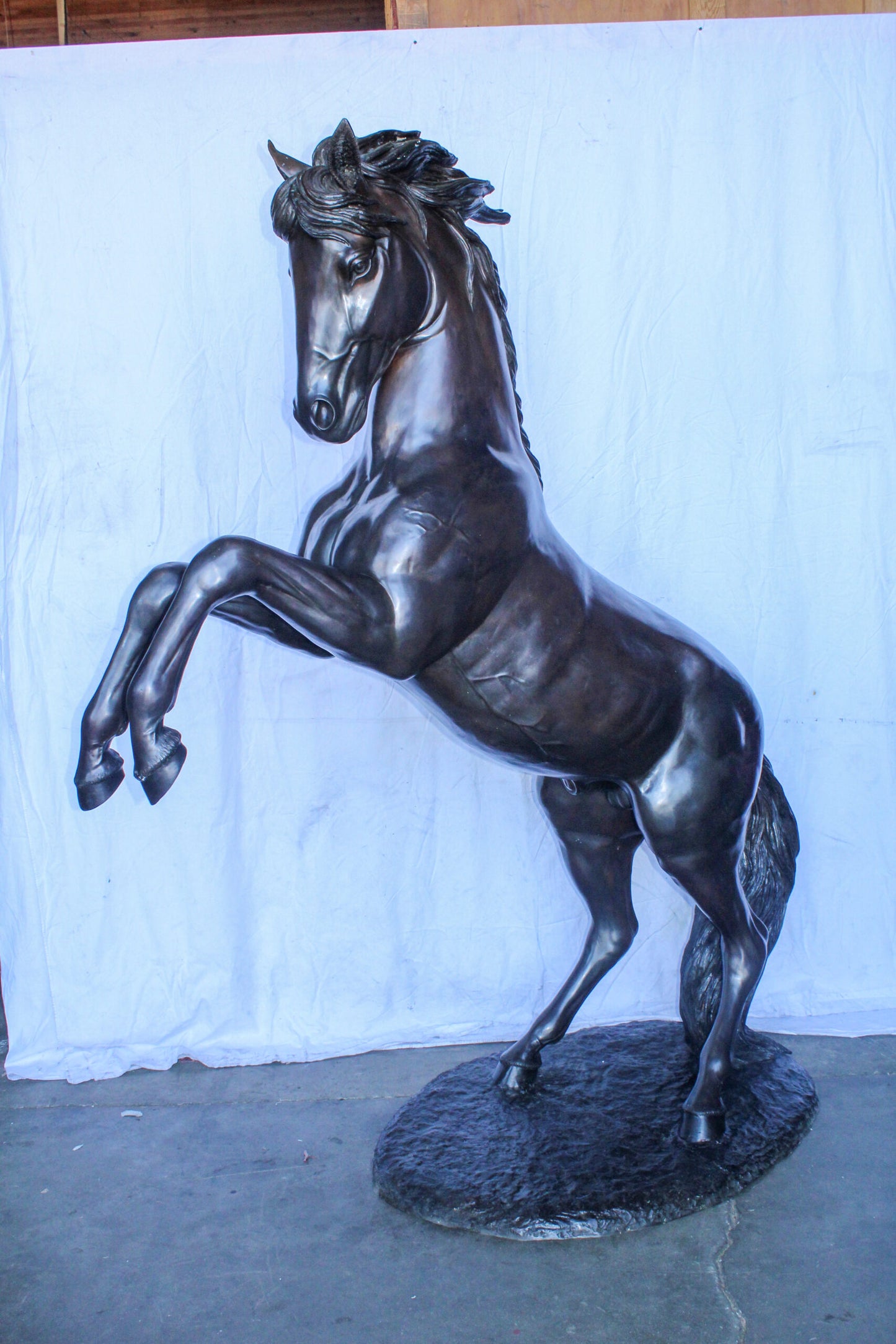 Quarter Horse Rearing, Life Size Bronze Statue, Equestrian Art 72" x 34" x 83"H