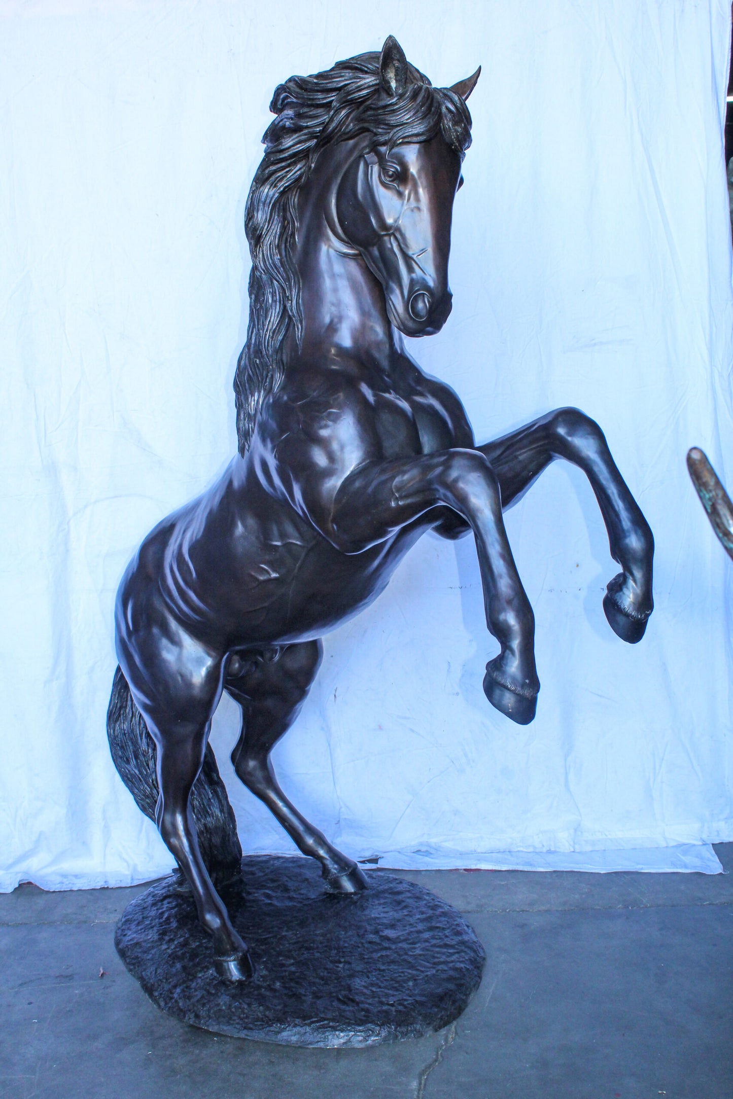 Quarter Horse Rearing, Life Size Bronze Statue, Equestrian Art 72" x 34" x 83"H