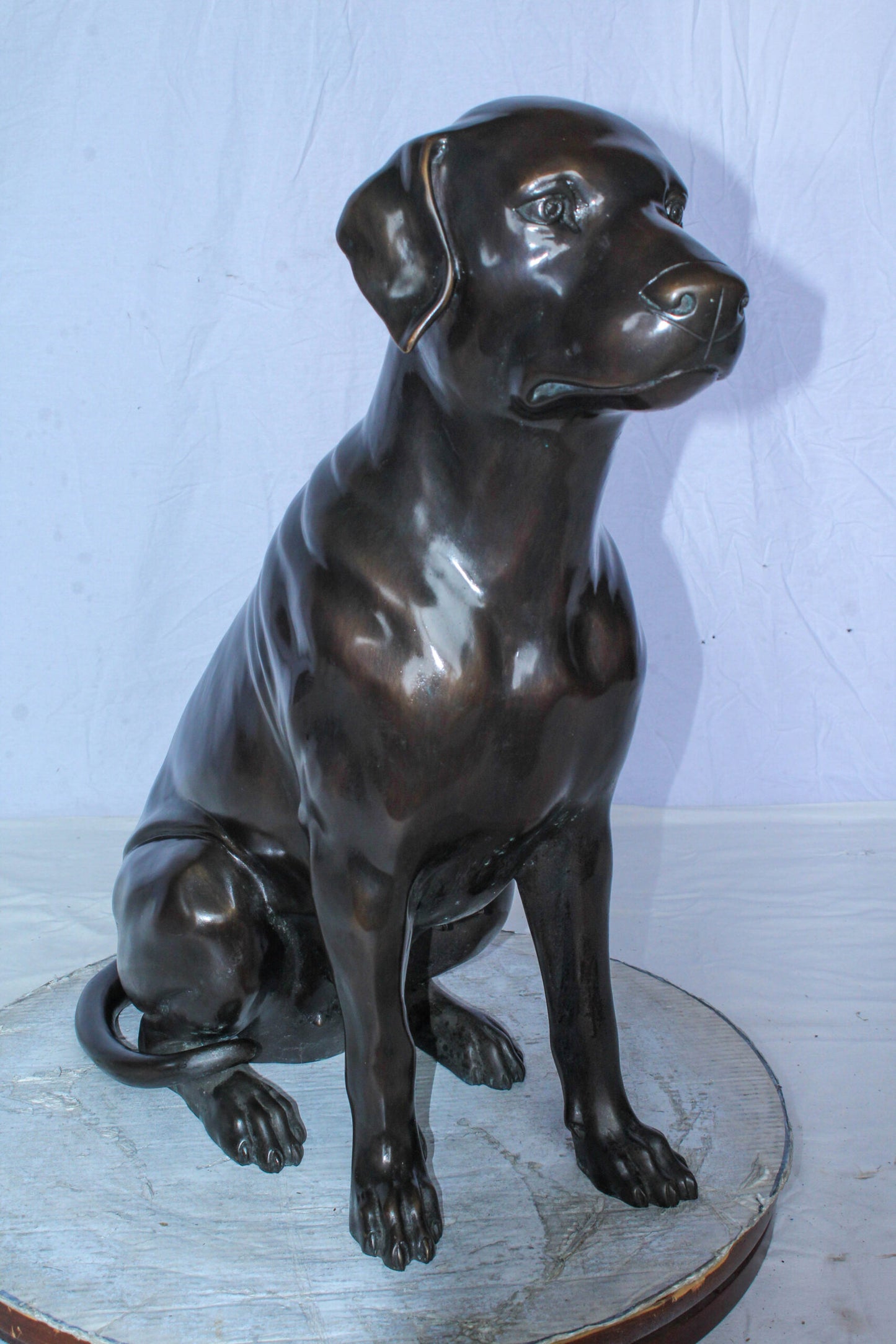 Large Bronze Chocolate Labrador Dog Statue Sitting Pose 22" x 12" x 27"H