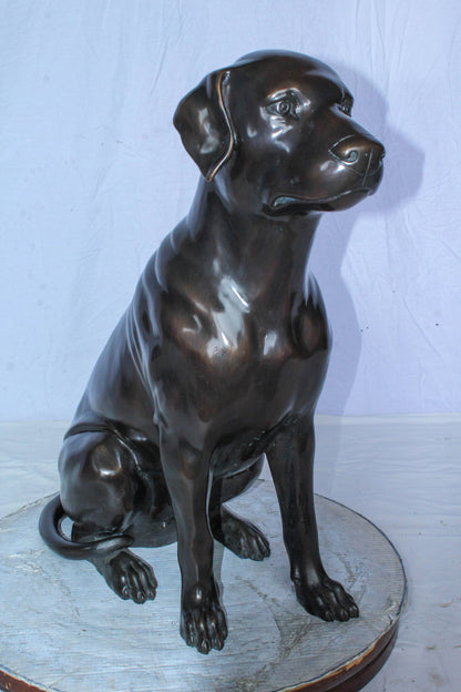 Large Bronze Chocolate Labrador Dog Statue Sitting Pose 22" x 12" x 27"H