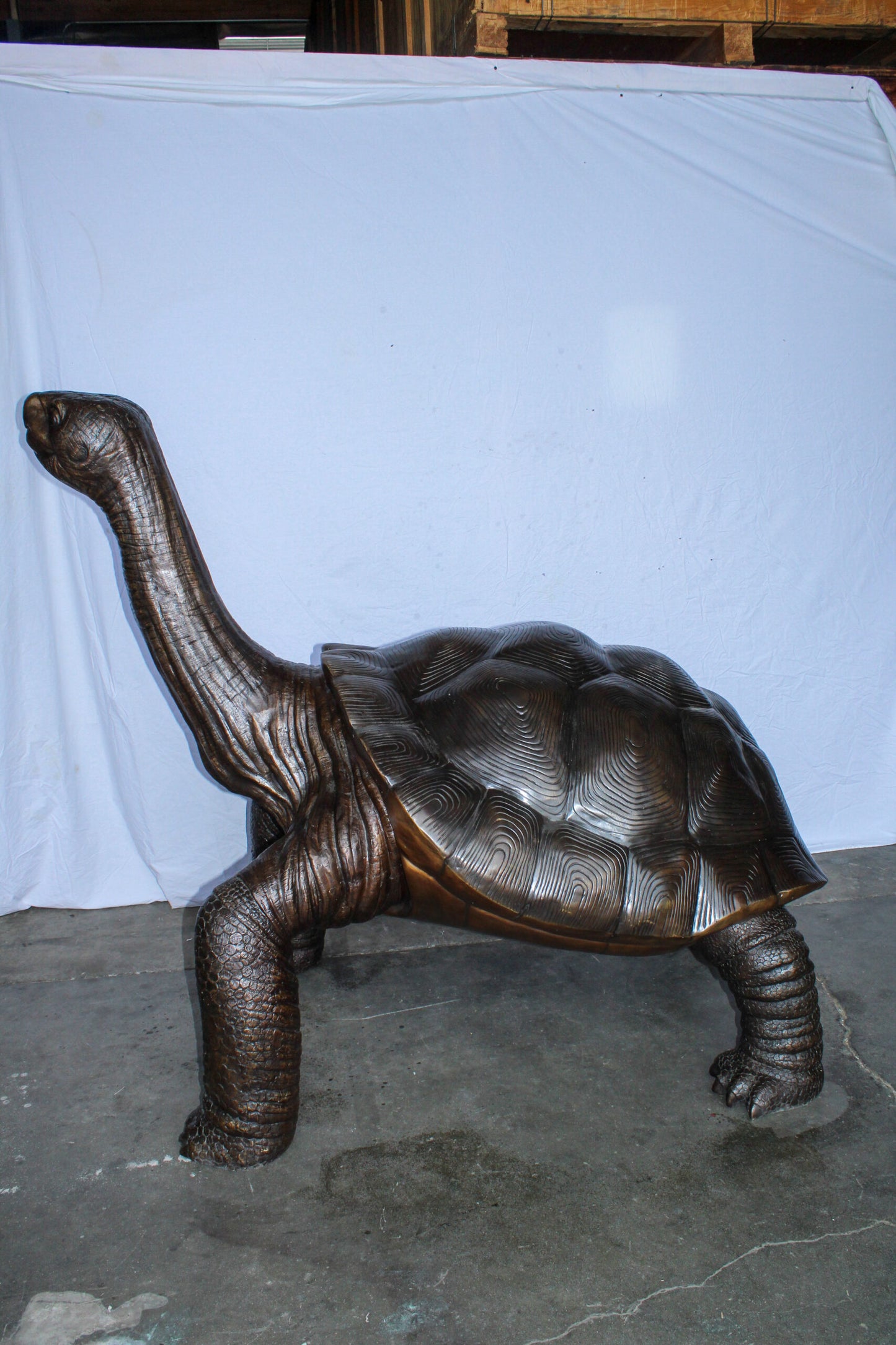 Giant Bronze Tortoise Statue with Detailed Textured Shell 66" x 41" x 59"H