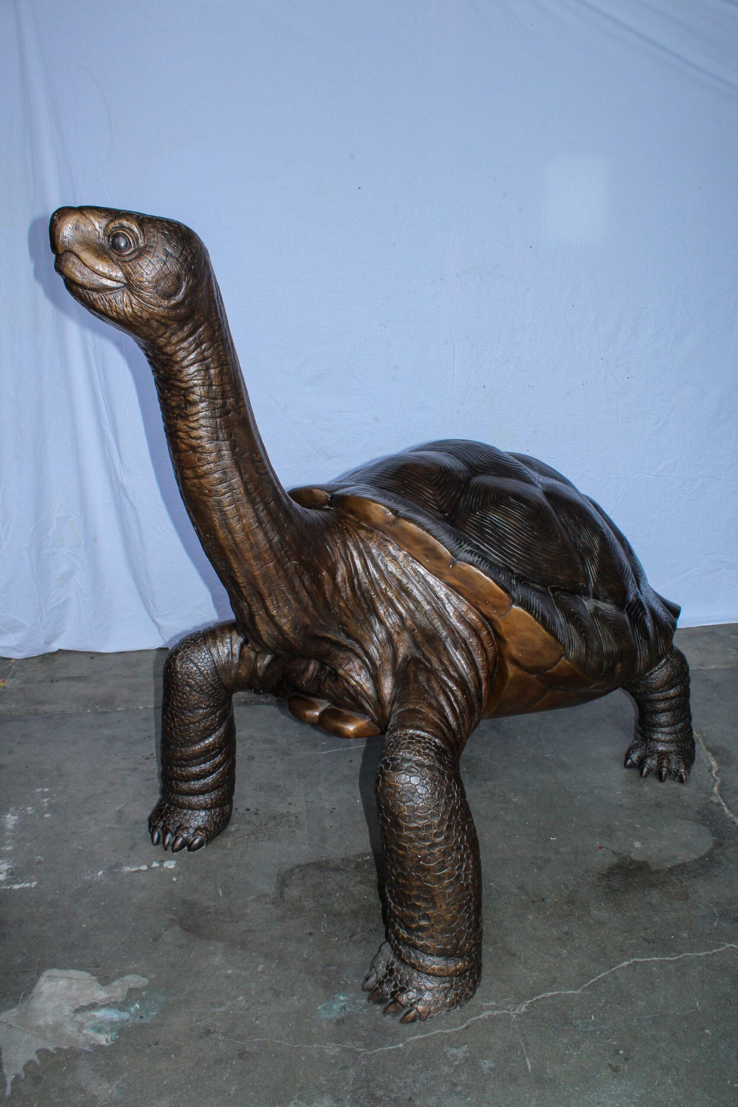 Giant Bronze Tortoise Statue with Detailed Textured Shell 66" x 41" x 59"H