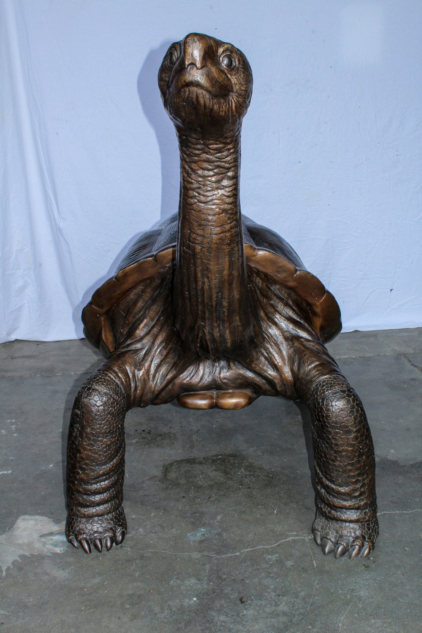 Giant Bronze Tortoise Statue with Detailed Textured Shell 66" x 41" x 59"H