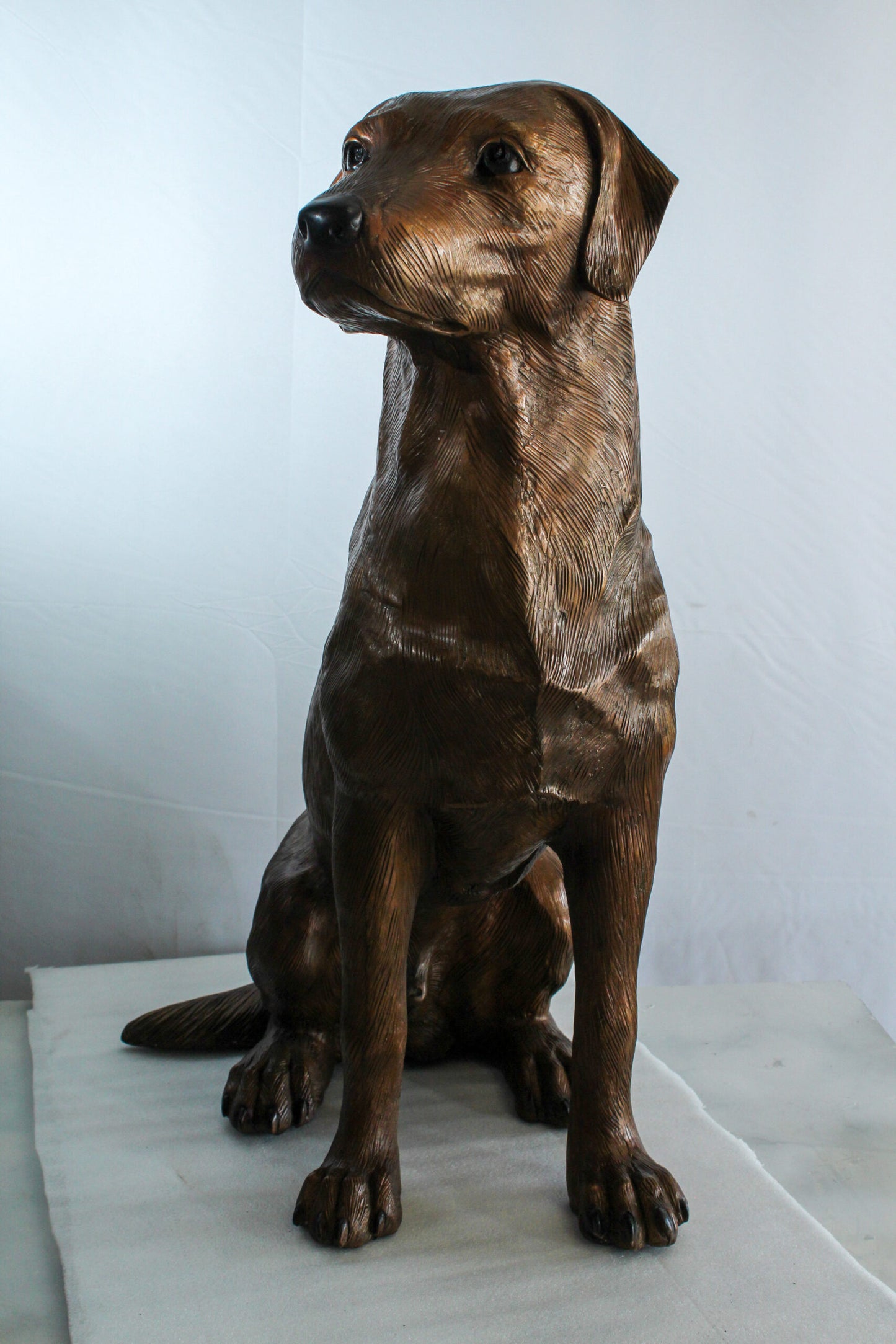 Large Bronze Labrador Retriever Dog Statue in Sitting Pose   28" x 19" x 31"H