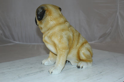 Pug Dog Bronze Statue -  Size: 12"L x 6"W x 11"H. 
