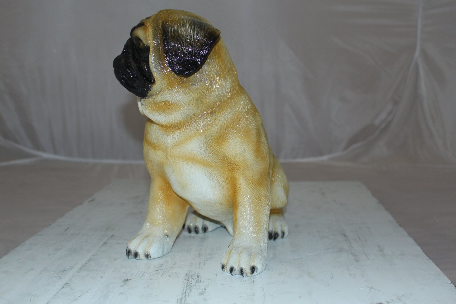 Pug Dog Bronze Statue -  Size: 12"L x 6"W x 11"H. 