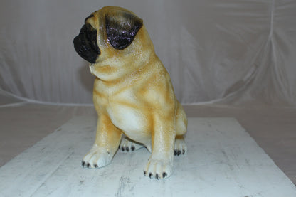 Pug Dog Bronze Statue -  Size: 12"L x 6"W x 11"H. 