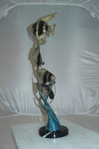 Three Zebra Angelfish Bronze Statue -  Size: 10"L x 10"W x 33"H. 