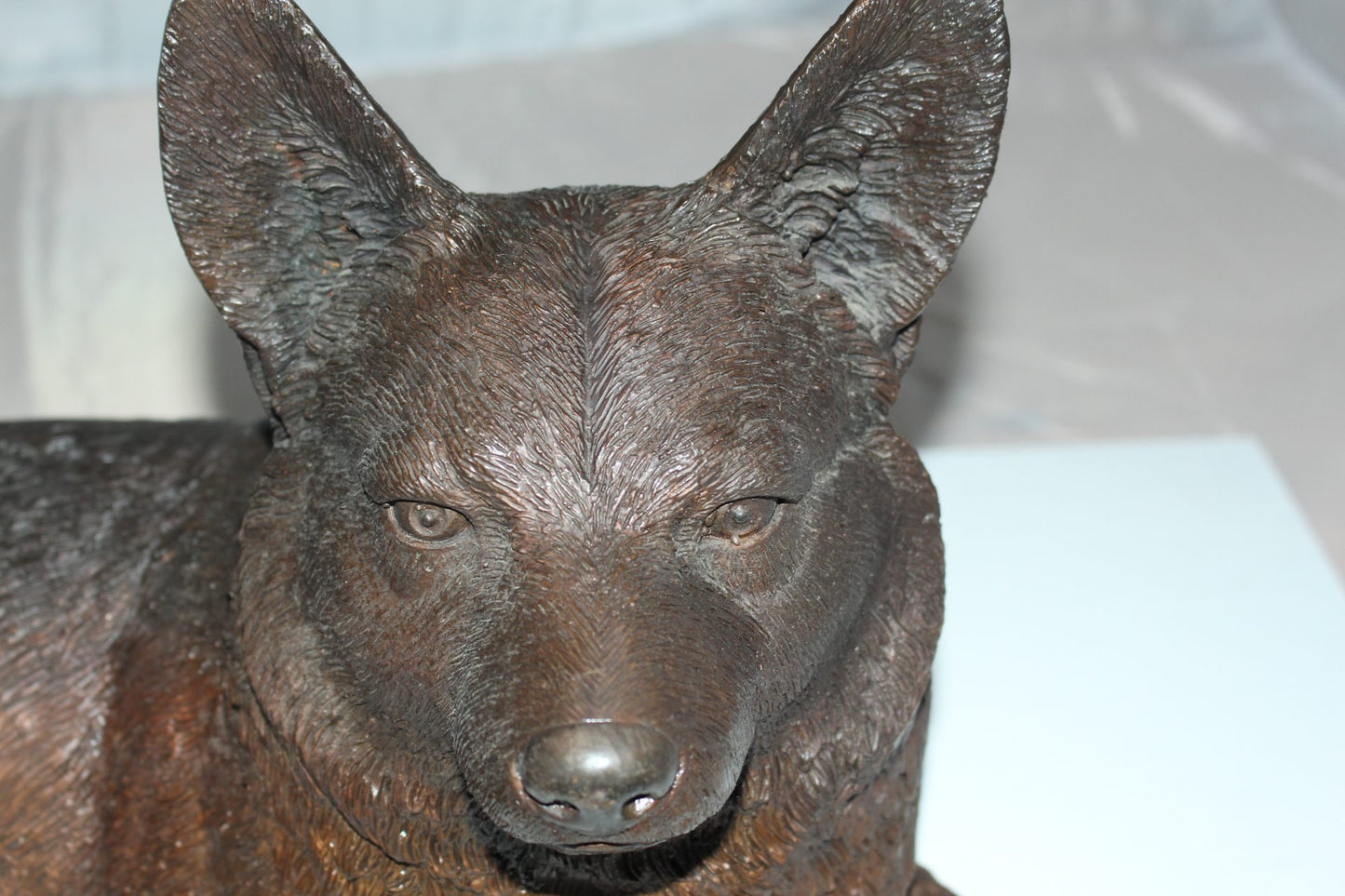 Corgi dog Bronze Statue -  Size: 20"L x 10"W x 11.5"H. 