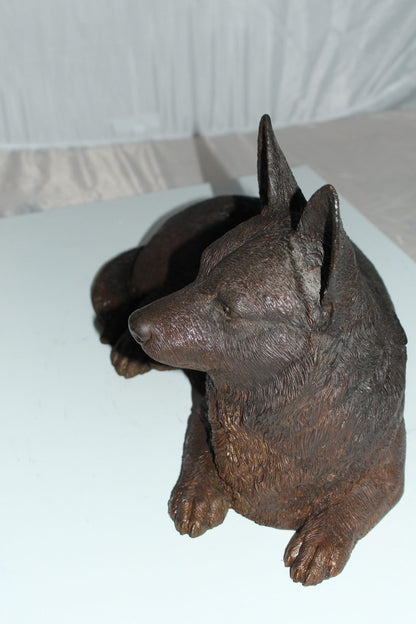 Corgi dog Bronze Statue -  Size: 20"L x 10"W x 11.5"H. 