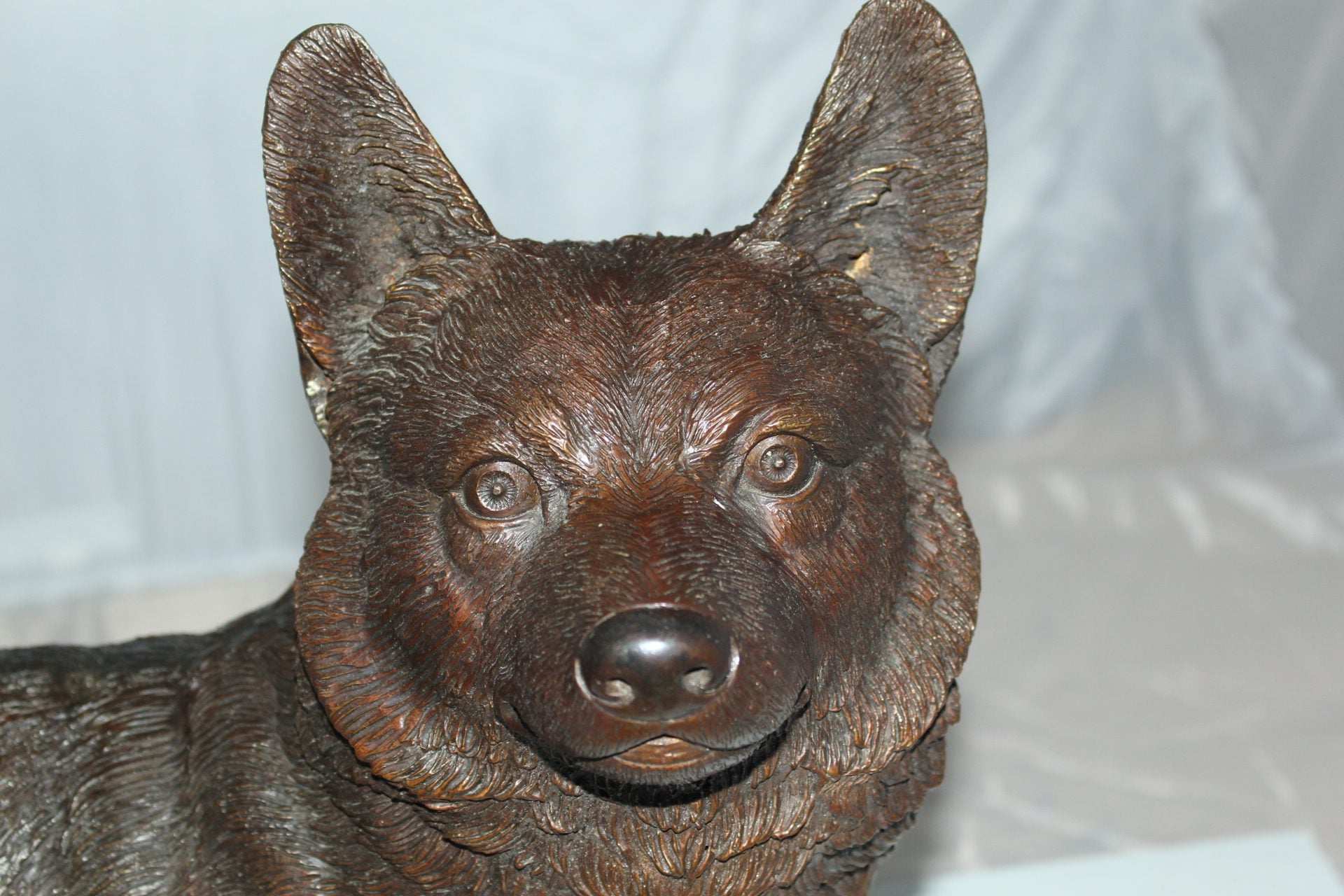 Corgi dog standing Bronze Statue -  Size: 20"L x 8"W x 15"H. 