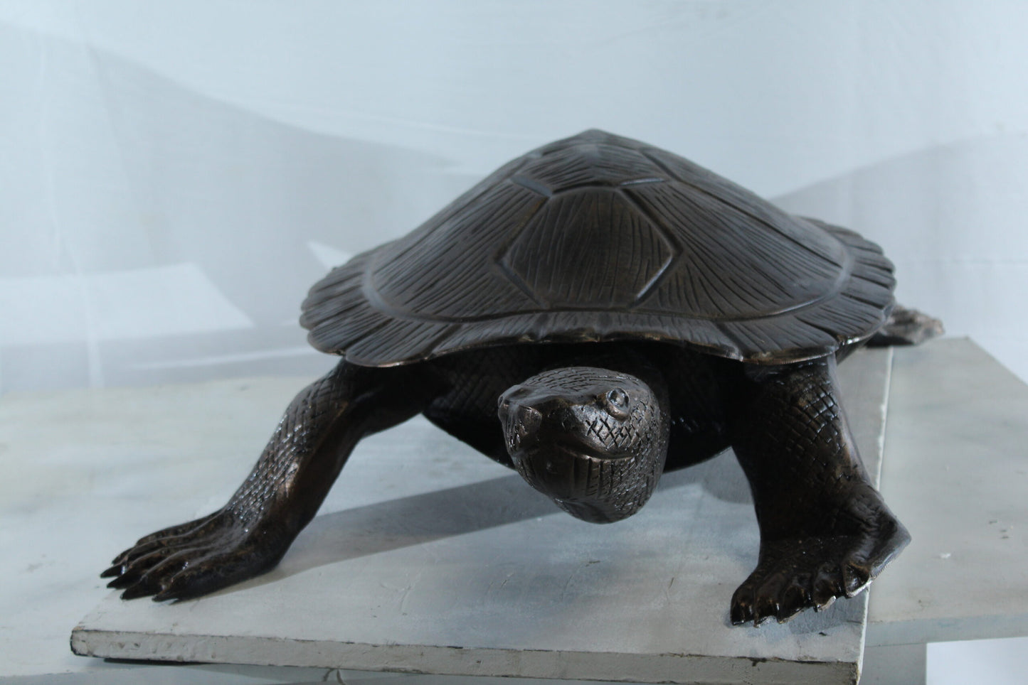 Cooter Turtle Aluminum Statue with Realistic Crawling Pose 38" x 26" x 8"H