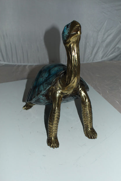 Turtle with special patina Bronze Statue -  Size: 14"L x 10"W x 15.5"H. 