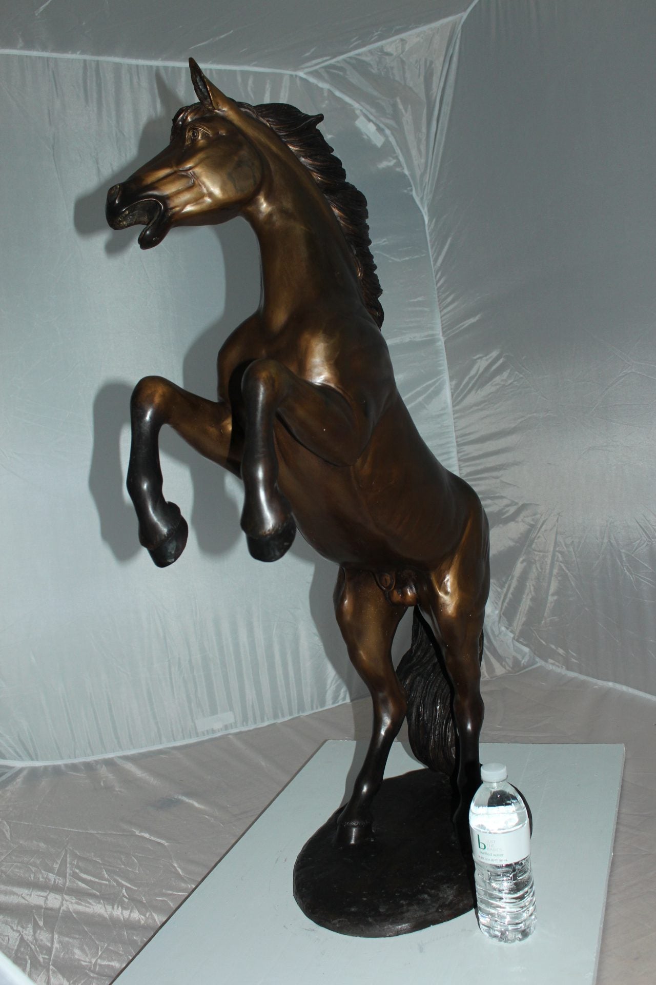 Horse Standing -large Bronze Statue -  Size: 26"L x 12"W x 39"H. 