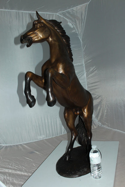 Horse Standing -large Bronze Statue -  Size: 26"L x 12"W x 39"H. 