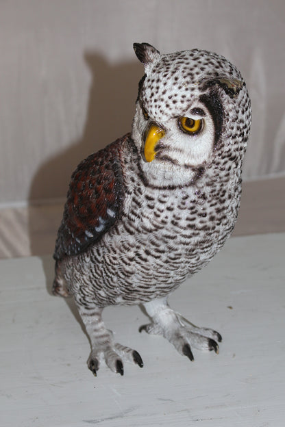 Owl Bronze Statue -  Size: 12"L x 6"W x 12"H. 