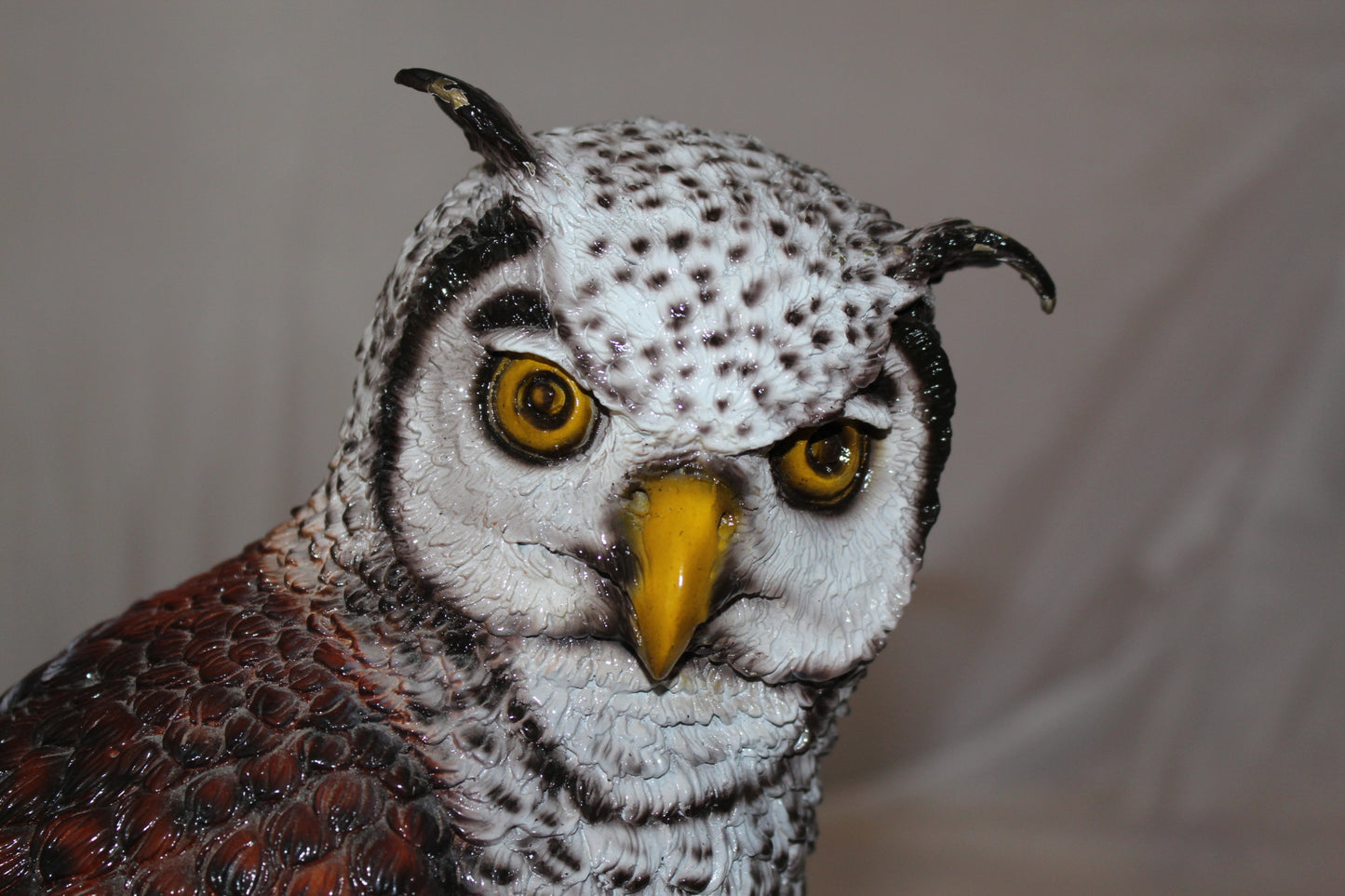 Owl Bronze Statue -  Size: 12"L x 6"W x 12"H. 