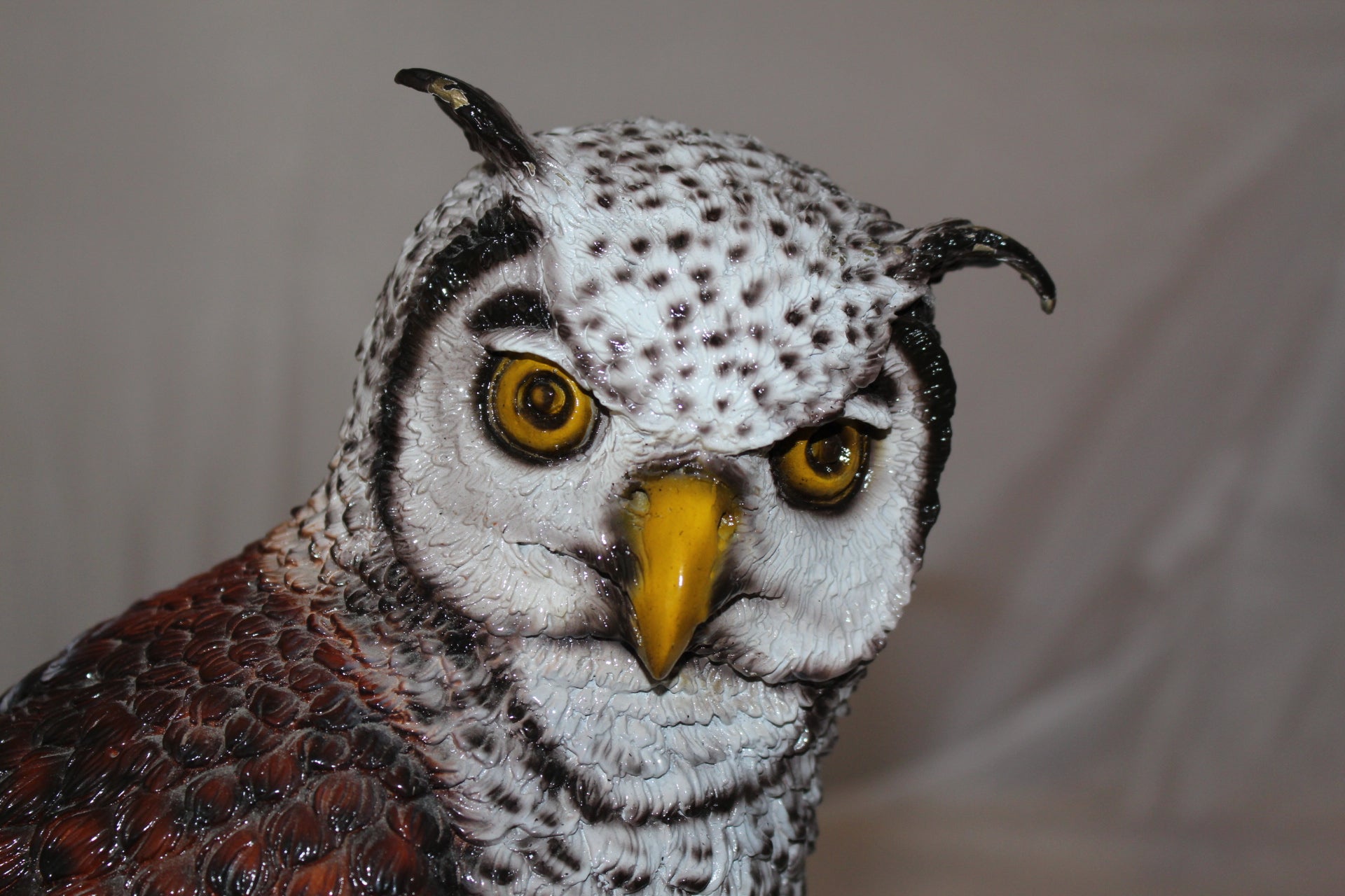 Owl Bronze Statue -  Size: 12"L x 6"W x 12"H. 